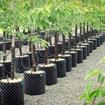 Ghiveci perforat demontabil Neptune Hydroponics 15 l