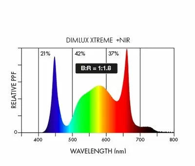 Dimlux Xtreme Series LED 500W + NIR - lampă LED pentru creștere și înflorire