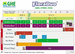 FloraDuo Bloom 1 L