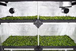 Garden Highpro PROBOX PROPAGATOR XL