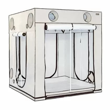 HOMEbox Ambient Q200+ - Палатка за отглеждане на растения (200 x 200 x 220см)
