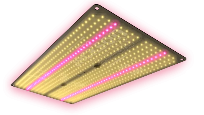 Jungle LED The Jackson 150W