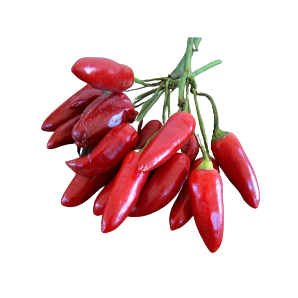 Little Devil Calabrese / Diavolicchio Calabrese - 25 pcs seeds