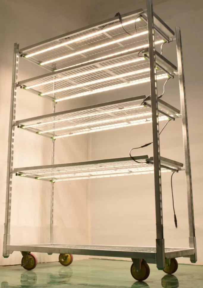 Newlite IndoorLED C 900P 400W GH