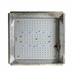 Red Farm Quantum G3 100W LED (LM281B)
