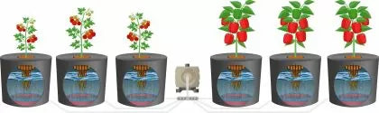 BOYU S-500 - pompă de aer 4 l/min 240 l/h
