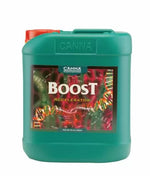CANNA BOOST Accelerator - booster pentru înflorire