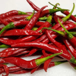 Cola de Rata (Cola de Rata) - 15 buc. semințe