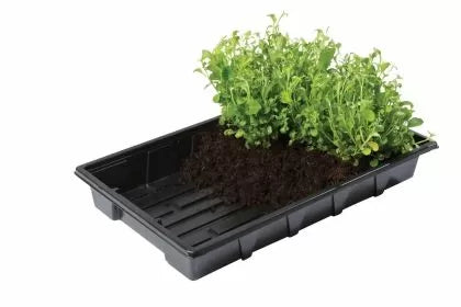 Garland Professional Gravel tray - rooting and seedling tray, 37 x 23.5 x 6 cm (without holes)