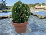 Large round LIRA series pot Terracotta 48l
