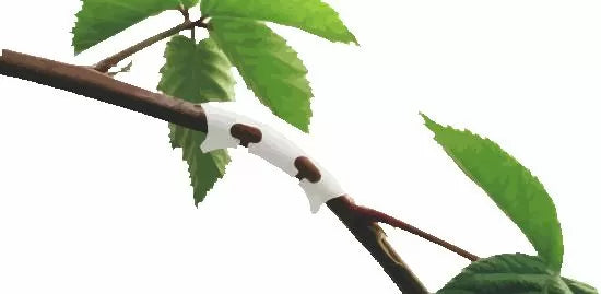 Set de cleme pentru îndoirea plantelor Gronest Bending Clips, 25 buc.