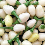 Хабанеро бяло (Habanero White / White Molly) - 15 бр. семена