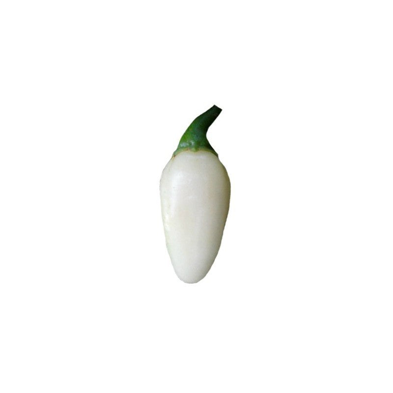 Хабанеро бяло (Habanero White / White Molly) - 15 бр. семена
