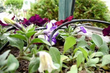 HydroDrip 15 Automatic Irrigation Kit – for up to 15 Pots