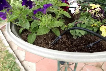 HydroDrip 15 Automatic Irrigation Kit – for up to 15 Pots