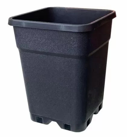 TR Square Pot 2 L