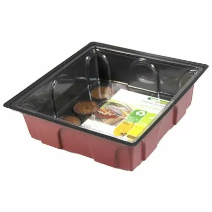 Windhager mini greenhouse with 12 included coconut discs, 19.5x19cm
