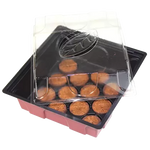 Windhager mini greenhouse with 12 included coconut discs, 19.5x19cm