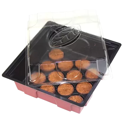 Windhager mini greenhouse with 12 included coconut discs, 19.5x19cm