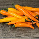 Оранжево Тайландско (Orange Thai) - 15 бр. семена