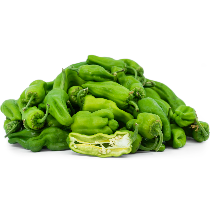 Padron (Padron) - 25 buc. semințe