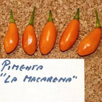 Pimenta La Macarena - 15 buc. semințe