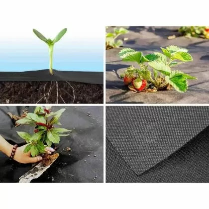 Black non-woven weed-control cover (agrotextile) 50 g/m² – 1.1 m x 100 m
