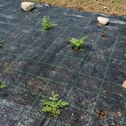 Black non-woven weed-control cover (agrotextile) 50 g/m² – 1.1 m x 100 m