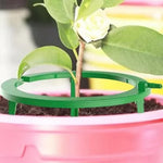 Irrigation Ring for Even Water Distribution Around the Root Zone