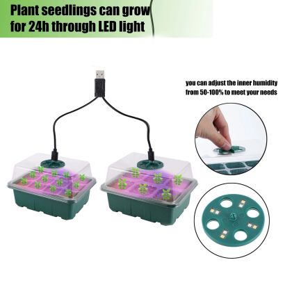 Set of 2 small seedling boxes with LED lighting 19/15cm