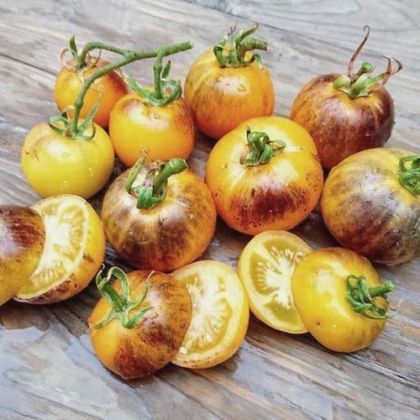 "Pansy AP" tomato seeds (Pansy AP) 15 pcs