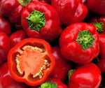 Mustafa - 10 pcs seeds