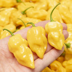 Хабанеро Лимон (Habanero Lemon) - 15 бр. семена