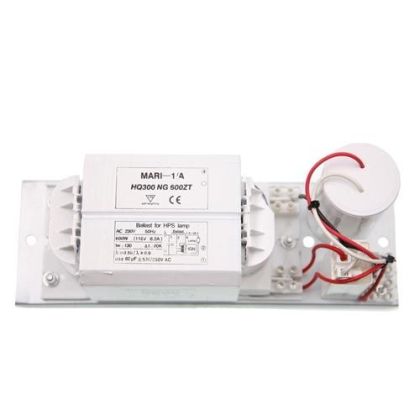 Mari 250W Ballast