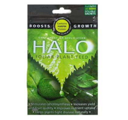 HALO 5 х 2.5гр.