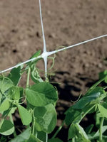 Professional Support Net for Climbing Plants, 2.04 m x 1000 m