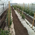 Professional Support Net for Climbing Plants, 2.04 m x 1000 m