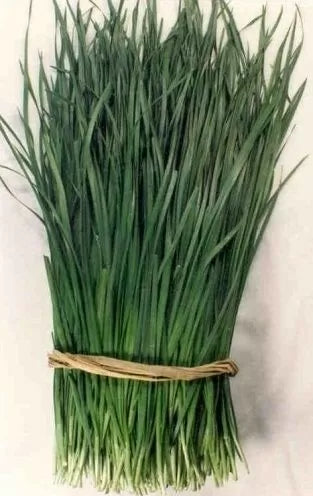 Чеснов Лук (Allium tuberosum) - 750 бр (±) / 2.5 гр семена