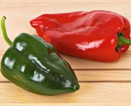 Ancho (Ancho Poblano) - 15 buc. semințe