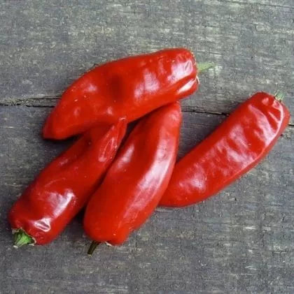 Piment de la Bresse - 15 Seeds