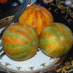 Queen Ann's Pocket mini melon (Queen Ann's Pocket) - 10 pcs seeds