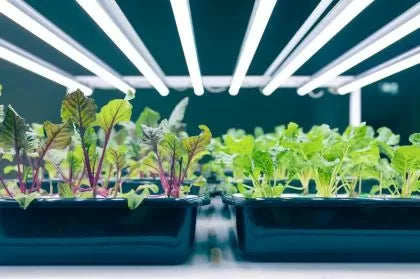 Solux i-Clone 2x20W LED Tube – LED осветление за разсад, вкореняване и поддържане на майчини растения