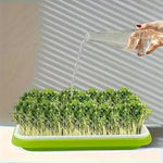 🌱 Комплект табли за покълване на микро зелени растения  с мрежа и капак и рамери 24/32см
