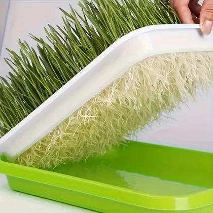 🌱 Комплект табли за покълване на микро зелени растения  с мрежа и капак и рамери 24/32см