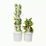 Hydroponic Vertical Garden — set complet pentru grădinărit hidroponic vertical