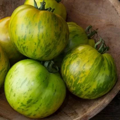 Green Zebra tomato - 25 pcs seeds
