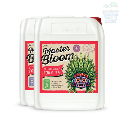 Master Bloom A + B 10L - mineral fertilizer for flowering