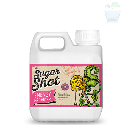 Sugar Shot 1l - въглехидратна добавка