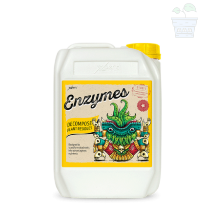 Enzymes 5L - Enzyme supplement