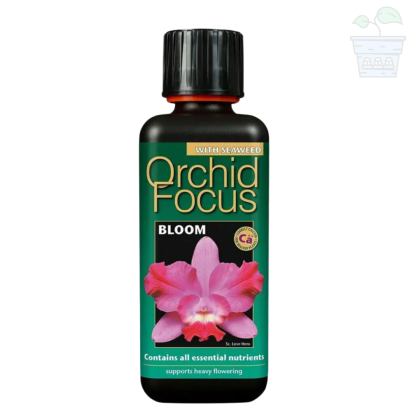 Orchid Focus Fertilizer for flowering/Orchids 100 ml